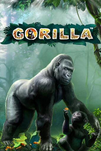 Gorilla игра онлайн бесплатно и без регистрации | Casino 888