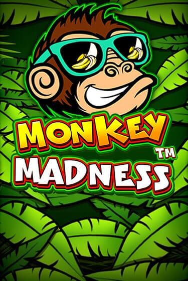 Monkey Madness игра онлайн бесплатно и без регистрации | Casino 888